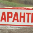 Минниханов ввел карантин в двух деревнях Татарстана, где выявили бешенство у животных