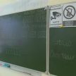 Выпускники Татарстана получили 288 стобалльных результатов на ЕГЭ