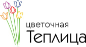 Теплица